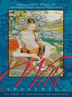 cover image of Wild Awakening
